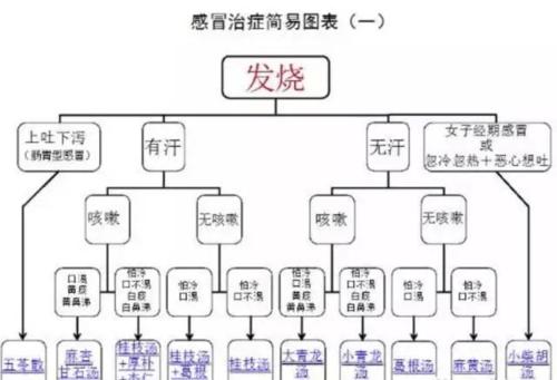 感冒两方常备、节省药费！