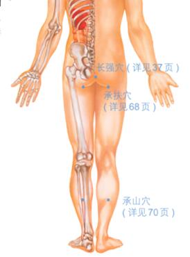 痔疮按摩