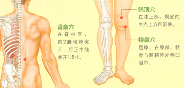 膝关节痛艾灸