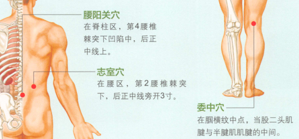 腰肌劳损艾灸