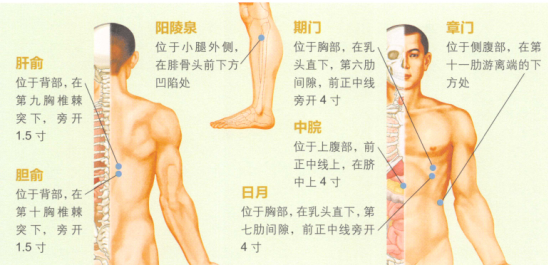 胆石症艾灸