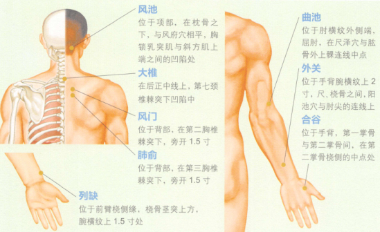 感冒艾灸
