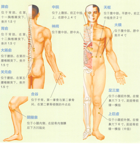 腹泻艾灸