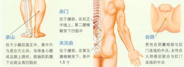 痔疮艾灸