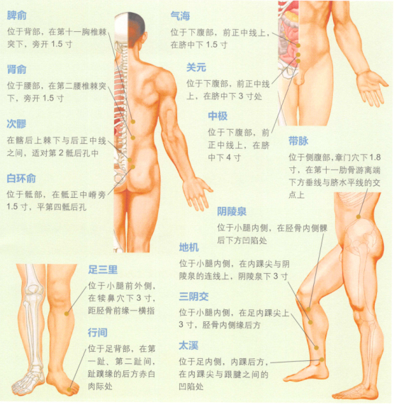 带下病艾灸