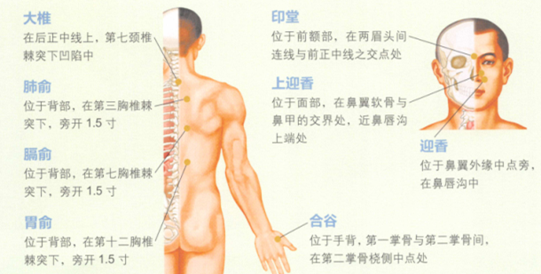 酒渣鼻艾灸