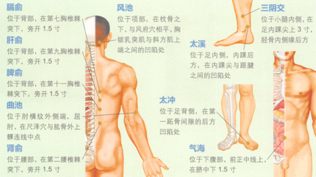 斑秃艾灸