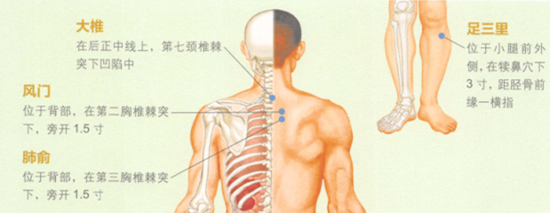 预防感冒艾灸