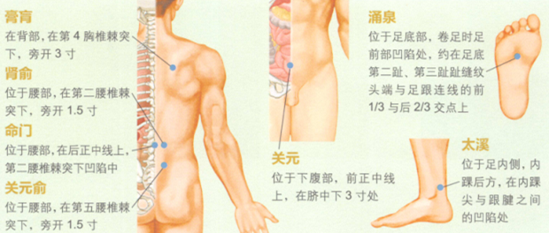 补肾强身艾灸