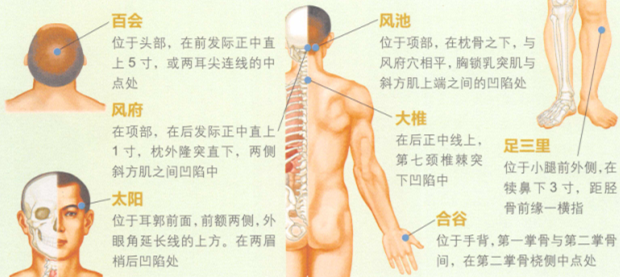 健脑益智艾灸