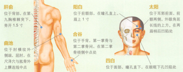 滋肝明目艾灸