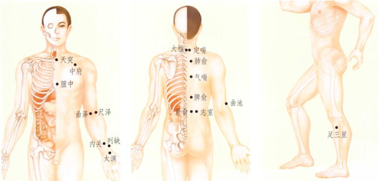 哮喘刮痧部位