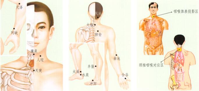 咽喉肿痛刮痧