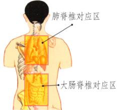 肺和大肠保健刮痧