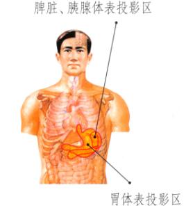 面色萎黄少光泽刮痧