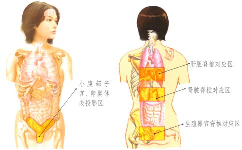 黑眼圈刮痧部位