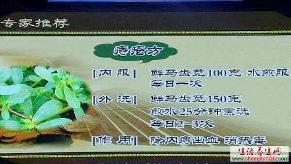 医学家郑卓人特推荐治痔疮偏方