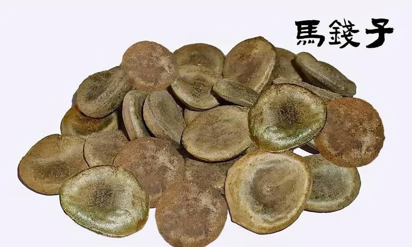 马钱子泡醋治好我的痔疮