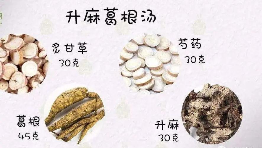 加味升麻葛根汤治疗小儿病毒性肺炎