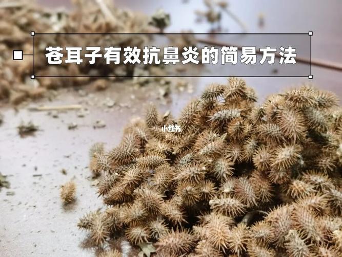 用什么方法治疗鼻炎，5种偏方根治鼻炎