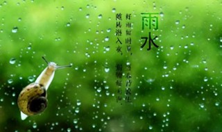 雨水养生保健有什么方法 雨水的养生方法