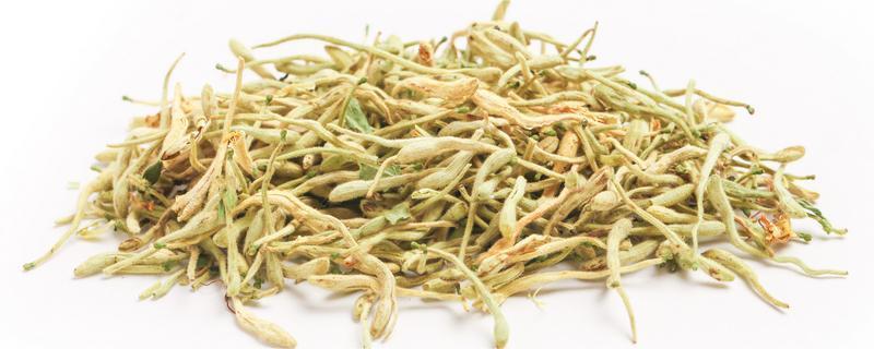 金银花茶可以天天喝吗 菊花茶可以天天喝吗