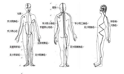 十二经络的走向和作用 十二经络的走向和作用图片