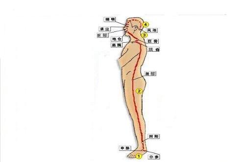 阳跷脉循行路线图片 阴跷脉循行路线