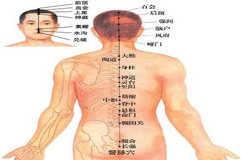 长强准确位置图和作用 长强准确位置图和作用一