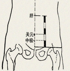 中极穴(图1)