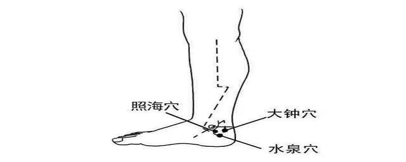 水泉是什么意思