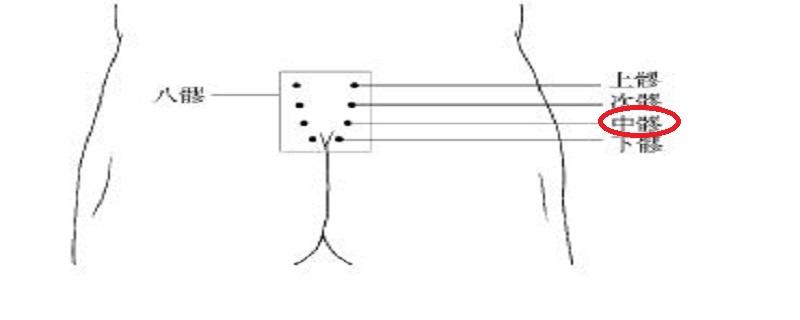 中髎准确位置图和作用 中脘的准确位置图