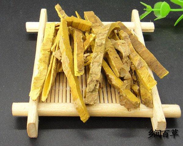 生姜黄柏的功效与作用,黄柏功效与作用的功效与作用