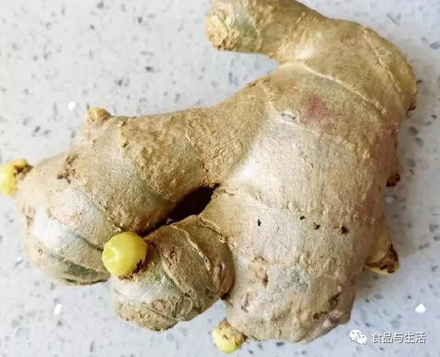烂姜煮熟了还有毒吗,烂姜泡水有毒吗