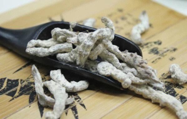 白僵蚕的功效和作用,白僵蚕的功效与作用及用量