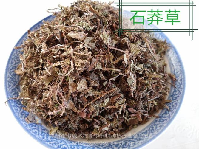 莽草和石莽草,莽草和石莽草的区别