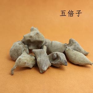 五倍子的功效与作用-五倍子的图片样子