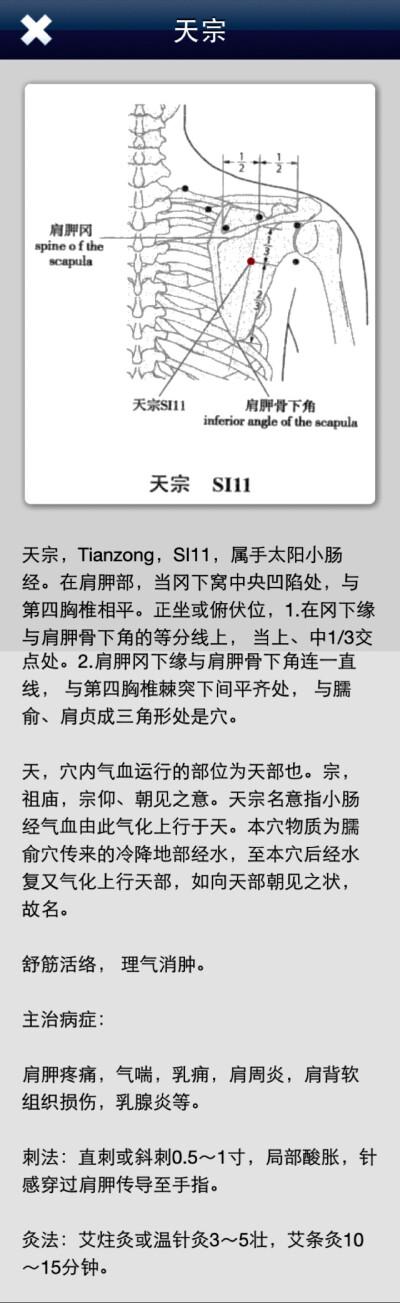 天宗的功效和作用，天宗的保健按摩方法的功效与作用-天宗的功效和作用，天宗的保健按摩方法的图片样子