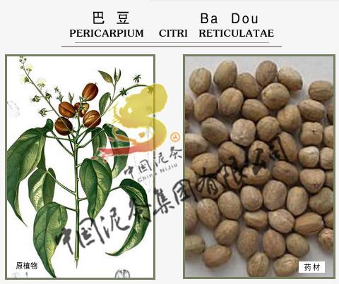 巴豆油的功效与作用-巴豆油的图片样子