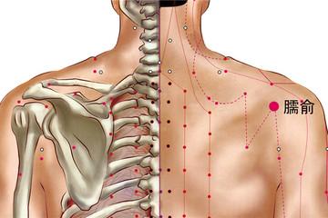臑俞的位置与作用，臑俞穴的作用的功效与作用-臑俞的位置与作用，臑俞穴的作用的图片样子