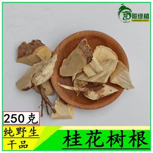 桂树根的功效与作用-桂树根的图片样子