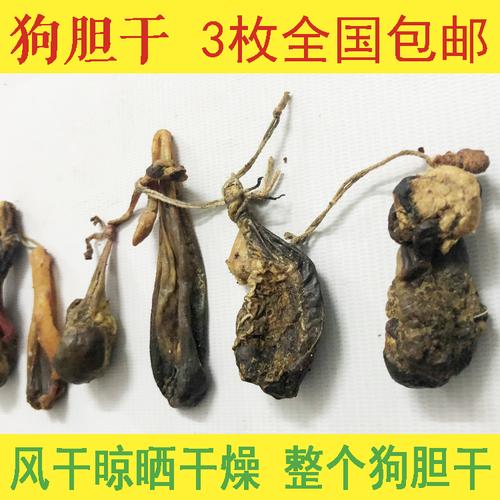 狗胆的功效与作用-狗胆的图片样子