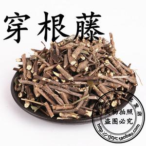 穿根藤的功效与作用-穿根藤的图片样子