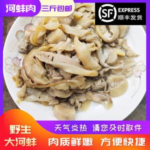 蚌肉的功效与作用-蚌肉的图片样子