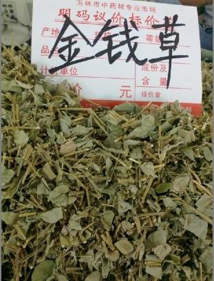 金钱苦叶草的功效与作用-金钱苦叶草的图片样子