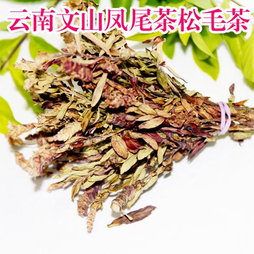 凤尾茶的功效与作用-凤尾茶的图片样子