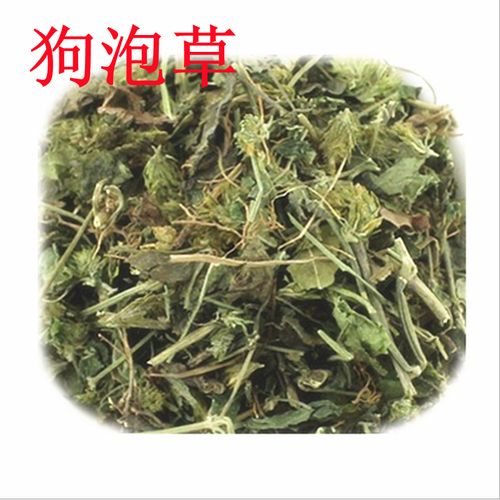 狗泡草的功效与作用-狗泡草的图片样子