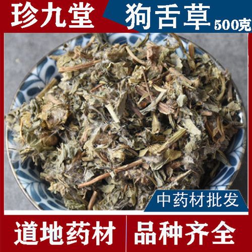 狗舌草的功效与作用-狗舌草的图片样子