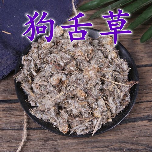 狗舌草根的功效与作用-狗舌草根的图片样子