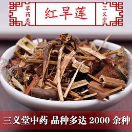 红旱莲的功效与作用-红旱莲的图片样子